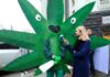 Top Tips for Cannabis Job Interviews Cannabis Job Interviews