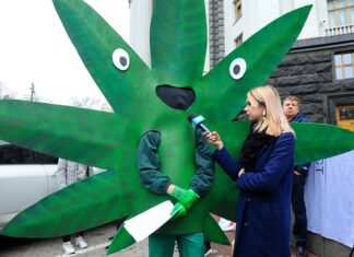 Top Tips for Cannabis Job Interviews Cannabis Job Interviews