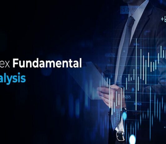 How to do the fundamental analysis in Forex Forex fundamental analysis