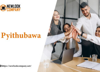 Pithubawa: A Better Way to Manage Your Projects Pyithubawa